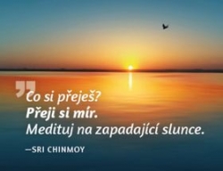 Chinmoy, Sri - Magnet na lednici Medituj na Mír