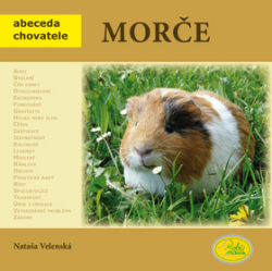 Velenská, Nataša - Morče