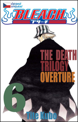 Kubo, Tite - Bleach 6