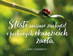 Chinmoy, Sri - Štěstí musíme zachytit v prchavých okamžicích života