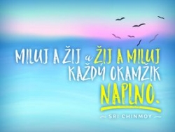 Chinmoy, Sri - Plechová cedulka Miluj a žij