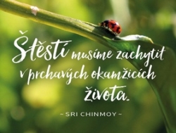 Chinmoy, Sri - Plechová cedulka Štěstí musíme zachytit