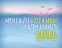 Chinmoy, Sri - Magnet na lednici Miluj a žij