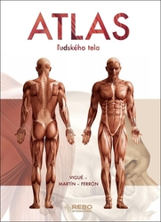 Vigué, Jordi - Atlas ľudského tela