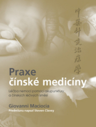 Maciocia, Giovanni - Praxe čínské medicíny