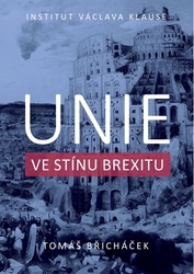 Břicháček, Tomáš - Unie ve stínu brexitu