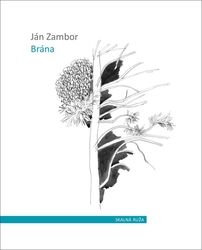 Zambor, Ján - Brána