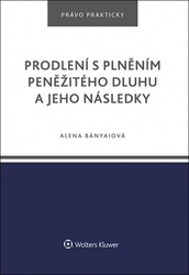 Bányaiová, Alena - Prodlení s plněním peněžitého dluhu a jeho následky