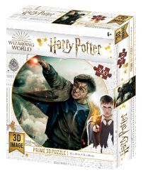 3D PUZZLE Harry Potter 300 dílků