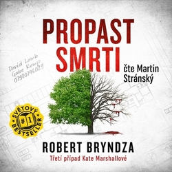 Bryndza, Robert - Propast smrti