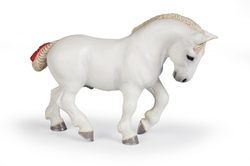 Kůň Percheron bílý