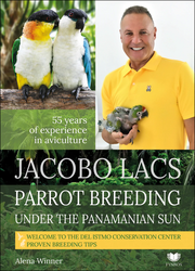 Winnerová, Alena - Jacobo Lacs Parrot breeding under the Panamanian sun