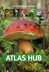 Atlas hub