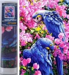 Diamantové malování Modří papoušci 30x40cm