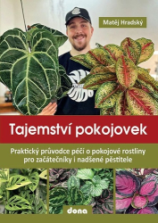 Hradský, Matěj - Tajemství pokojovek