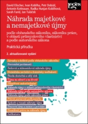 Kobliha, Ivan; Elischer, David; Dobiáš, Petr - Náhrada majetkové a nemajetkové újmy