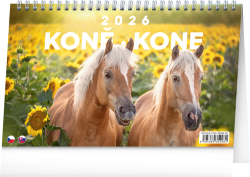 Koně 2026 - stolní kalendář