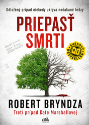 Bryndza, Robert - Priepasť smrti