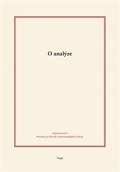 Holeček, Tomáš - O analýze