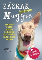 Carlin, Kasey - Zázrak jménem Maggie