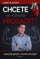 Hlavička, Josef - Chcete se prosadit