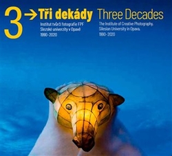 Birgus, Vladimír - Tři dekády