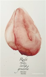 Stuchlý, Miroslav - Rudá růže, černá gondola