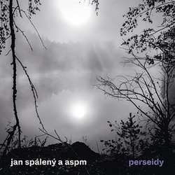 ASPM - Perseidy