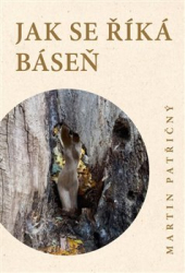 Patřičný, Martin - Jak se říká báseň