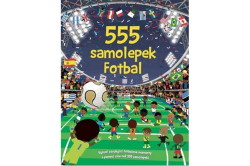 555 samolepek - Fotbal