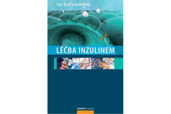 Léčba inzulinem