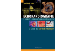 Echokardiografie u pacientů s chronickým onemocněním ledvin a úvod do kardionefrologie