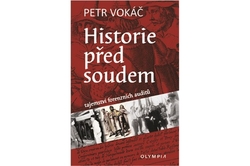 Vokáč Petr - Historie před soudem