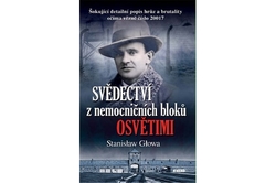 Głowa Stanisław - Svědectví z nemocničních bloků Osvětimi