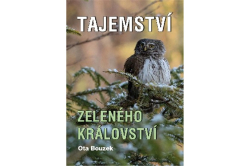 Bouzek Ota - Tajemství zeleného království