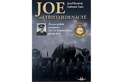 Doubek Josef,Faitz Lubomír - JOE od třistajedenácté