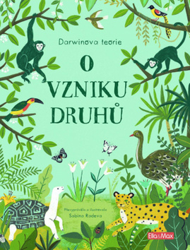Radeva, Sabina - O vzniku druhů